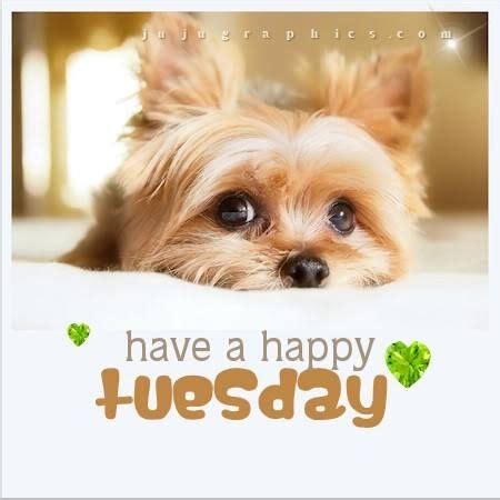 Free Tuesday Morning Cliparts, Download Free Tuesday Morning Cliparts ...