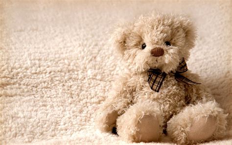 Download Fluffy Teddy Bear Wallpaper | Wallpapers.com