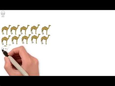 задачка с верблюдами - YouTube