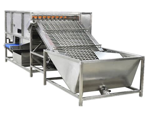 Egg Peeling Machine Egg Processing Machines Supplier