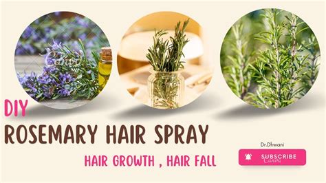 quick diy rosemary hair spray hair growth hair fall thin hair