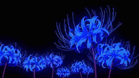Blue Spider Lily Wallpapers - Wallpaper Cave