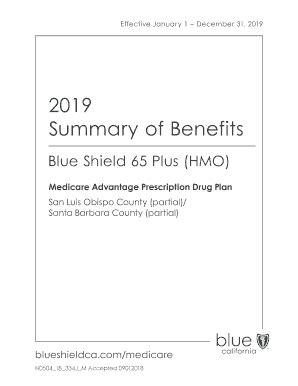 Fillable Online 2019 Summary Of Benefits Blue Shield 65 Plus HMO