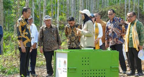 Mengenal Wanagama Nusantara Hutan Pendidikan Di Ikn