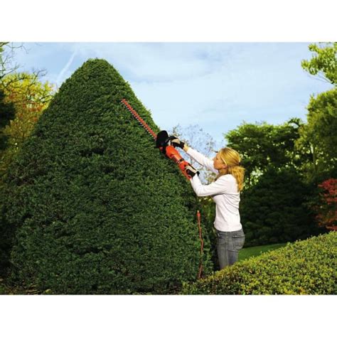 The 5 Best Pole Hedge Trimmers Dengarden