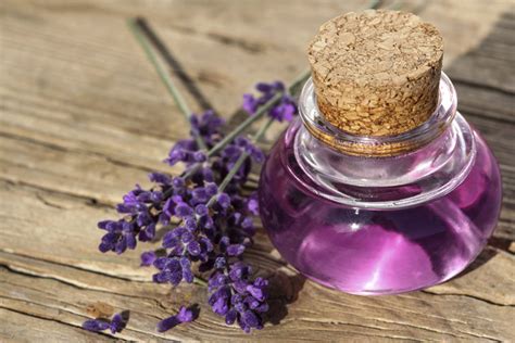 Lavender Oil Benefits For Hair