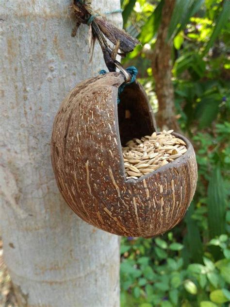 Eco Friendly Coconut Shell Bird Nest