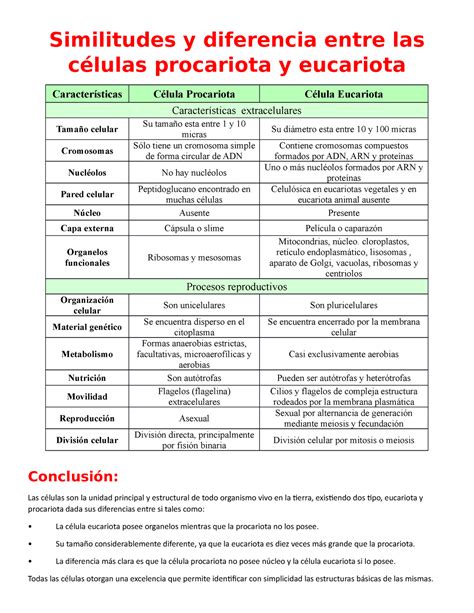 Cuadro Comparativo Entre Celula Eucariota Y Procariota Cuadro Images