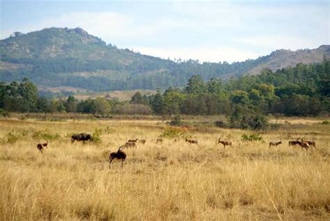 Ezulwini Valley - Alchetron, The Free Social Encyclopedia