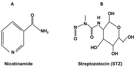 Biomolecules Free Full Text The Nicotinamide Streptozotocin Rodent