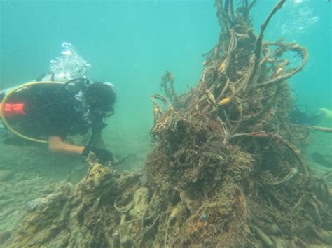 How ghost nets haunt marine life - Restoration Stewards by Global ...