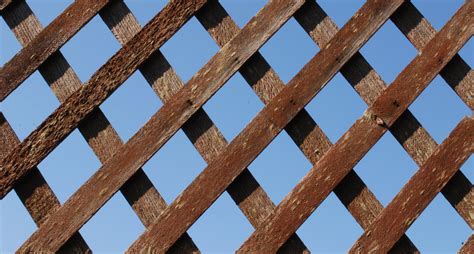 Wood Lattice Free Photo Download | FreeImages