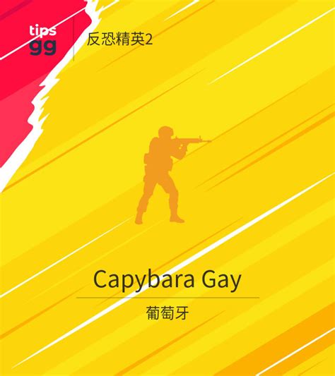 Capybara Gay CS2 CS GO 队来自葡萄牙 Tips GG