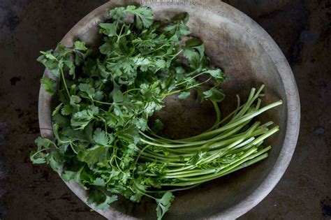 How To Use Parsley and Cilantro Stems