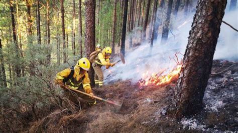 Cómo Trabajan Las Brigadas De Refuerzo En Incendios Forestales