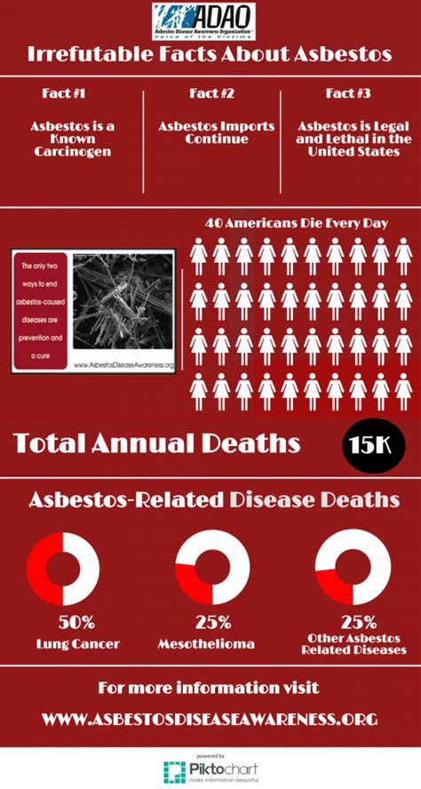 Asbestos Disease Awareness Organization Infographic Irrefutable Facts