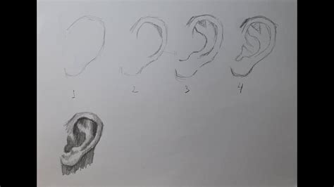 How To Draw An Ear In 4 Steps Como Dibujar Una Oreja En 4 Pasos Youtube