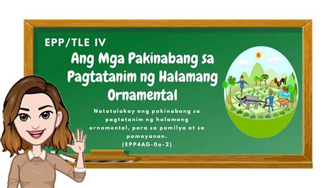 Epp Agriculture Pakinabang Sa Pagtatanim Ng Halamang Ornamental