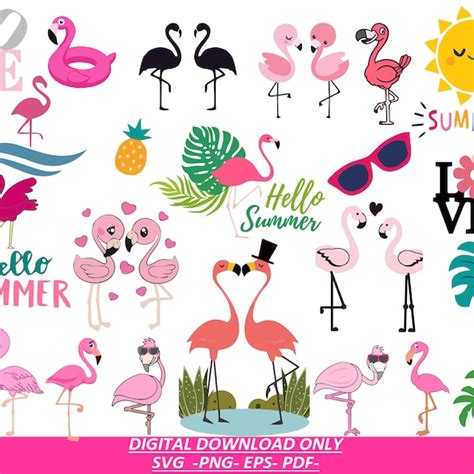 Flamingo Svg Files For Cricut Etsy