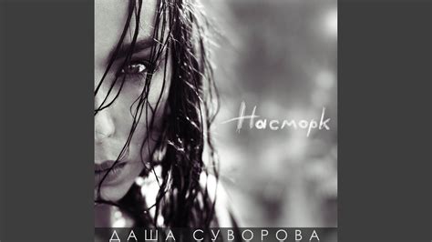 Чайки - YouTube