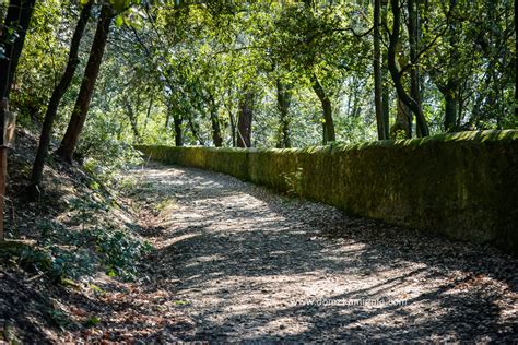 Fiesole I Wielkie Marzenie Leonardo Domzkamienia