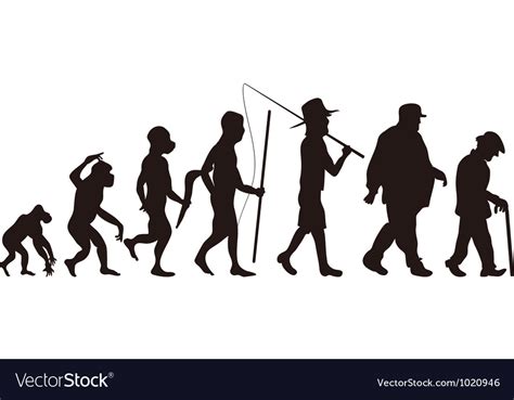 Human evolution Royalty Free Vector Image - VectorStock