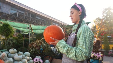 Woman with pumpkins at fall market display 16365861 Stock Video at Vecteezy