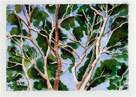 Art Along Gum Tree Branches 30042020 Karen Smith