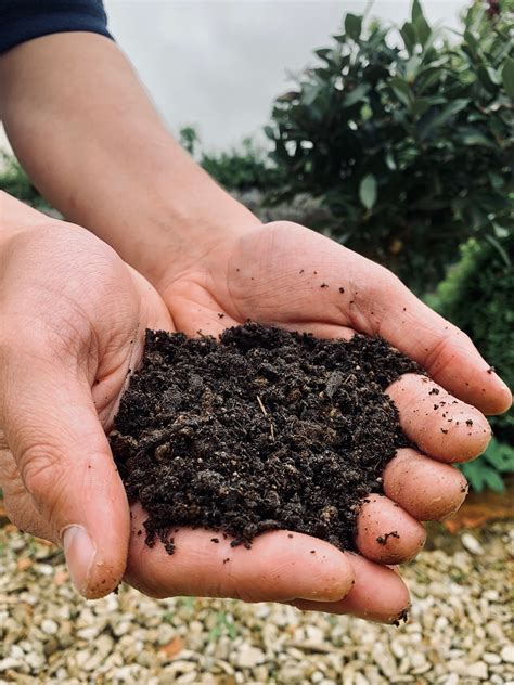 Traditional Garden Growers