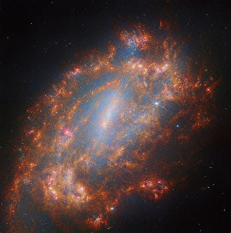 Webb Snaps Breathtaking New Image Of NGC 1559 Sci News