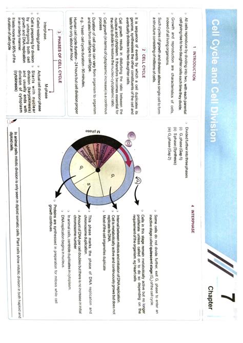 Solution Cell Cycle And Cell Division Ncert Maps Studypool