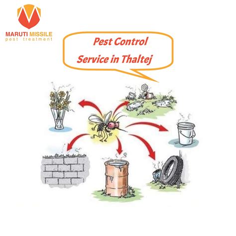 Pest Control Service In Ahmedabad Marutimissile