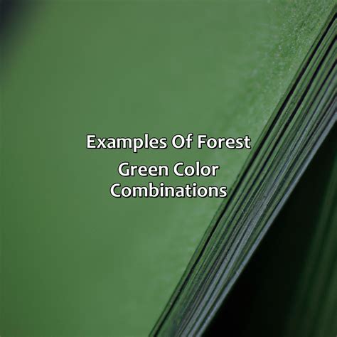 What Color Goes With Forest Green - colorscombo.com