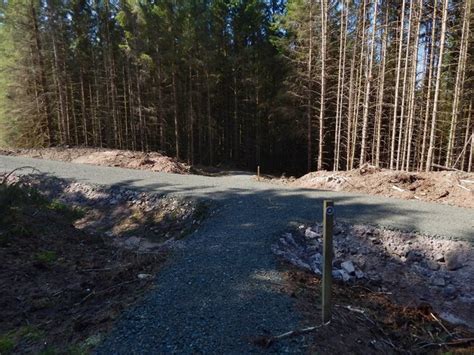 Path Crossing Forestry Track © Lairich Rig Geograph Britain And Ireland