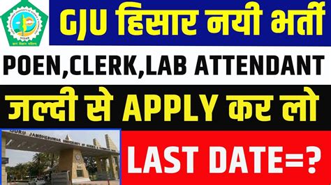 Haryana New Vacancy Gju Hisar New Recruitment Gju