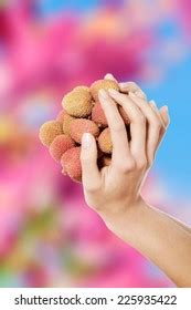 Beautiful Nude Woman Holding Litchi Stock Photo Shutterstock