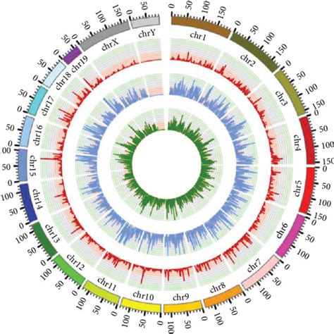 The profiles of m6A peaks and the joint analysis of m6A-seq and ... 