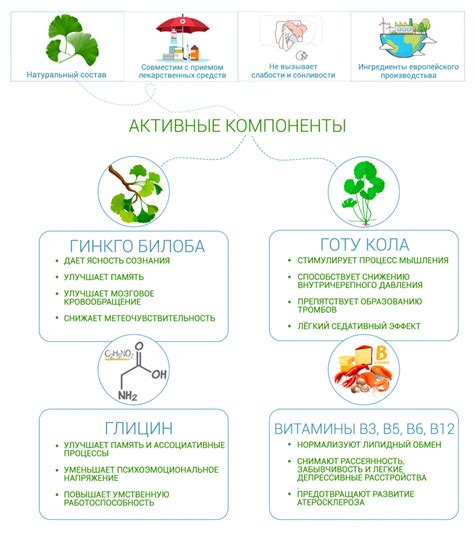 Ноотроп
