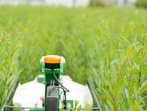 Robots agricoles Naïo Technologies