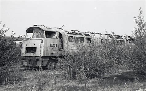 The Transport Library British Rail Diesel Loco Class 52 Western 1003 At Swindon In 1976