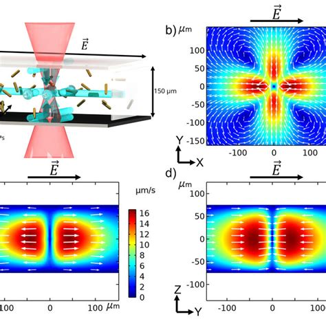 Schematic Representation Of The Problem And Simulations Of The Download Scientific Diagram