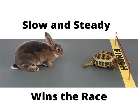 Slow And Steady Wins The Race Businesswritingblog