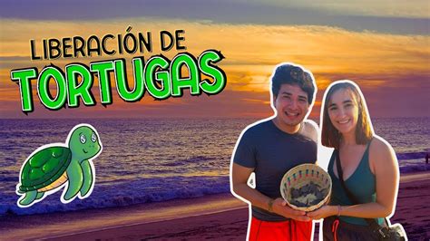 Liberando Tortugas En Puerto Escondido YouTube