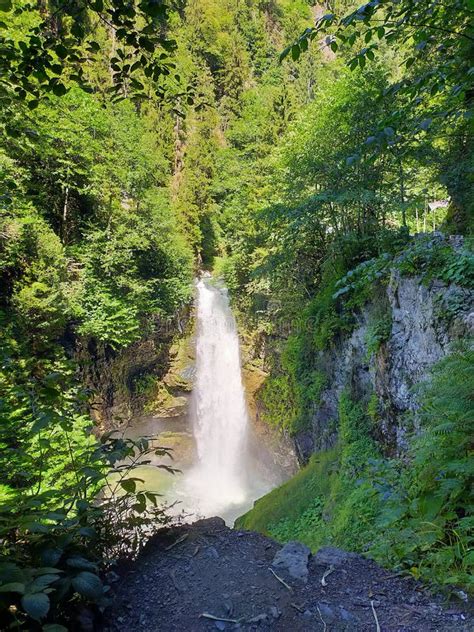 Palovit Waterfall in Rize in Turkey Stock Photo - Image of jungle ...