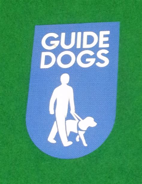 Guide Dogs Logo on Astro Grass | Crazy Golf Blog