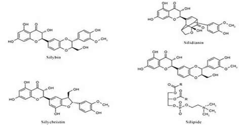 Silylgermane An Inorganic Compound Qs Study