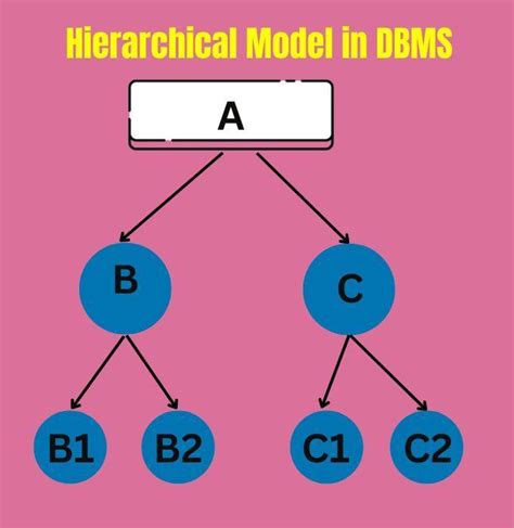 Hierarchical Model in DBMS - Naukri Code 360