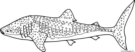 Realistic Whale Shark Coloring page Printable