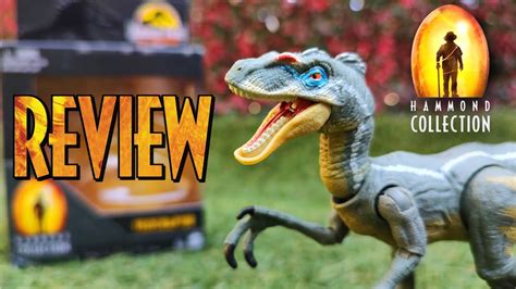 Velociraptor Jurassic Park Jurassic World Hammond Collection