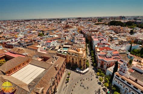 Seville Cathedral And La Giralda - Stunning Ode To Excess In Andalusia - NEXTBITEOFLIFE BLOG